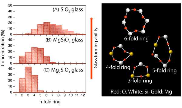 Fig. 3 Ring distribution in glass