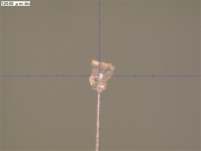 Fig. 2 Optical microscopy images of Itokawa particles (sample: RA-QD2-0011)