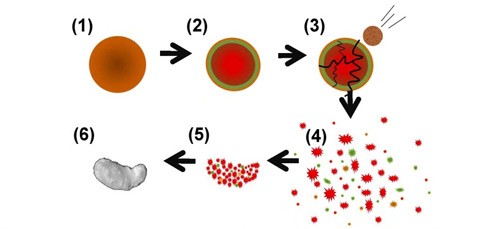 Fig. 4 Formation history of Itokawa