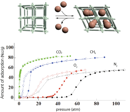 Fig. 1 Example of selective gas adsorption onto flexible PCP pores