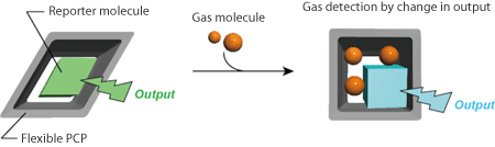 Fig. 2 Gas detection based on coupling between flexible PCP pores and reporter molecules