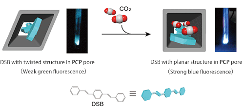 Fig. 3 Changes in structure and fluorescence for composite of host PCP and guest reporter molecules upon adsorption of CO2