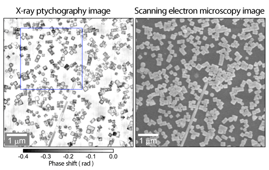 Fig. 2 X-ray ptychography and scanning electron microscopy images of Au/Ag core-shell nanoparticles