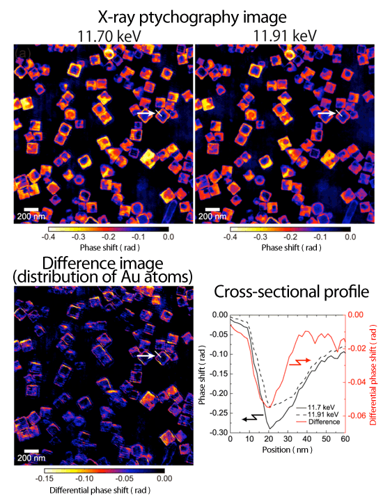 Fig. 3 Ptychographic X-ray diffraction image and its difference image (used for element mapping) of Au/Ag core-shell nanoparticles for X-ray energies of 11.70 and 11.91 keV and cross-sectional profile of single nanoparticle