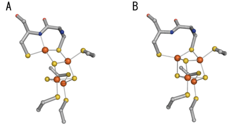 Fig. 2 Enlarged image of site showing characteristic structural change