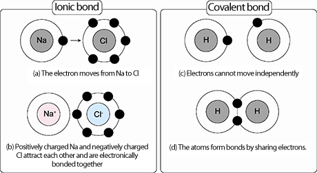 Fig. 2 Illustrations of ionic and covalent bonds