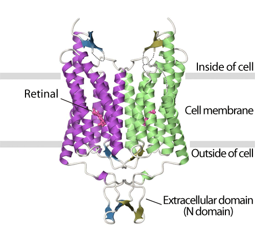 fig.2