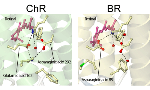 fig.3