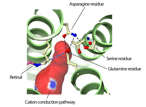 fig.5