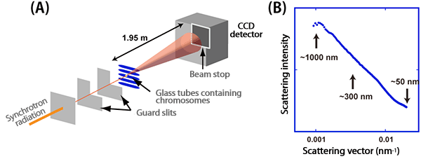 Fig.3