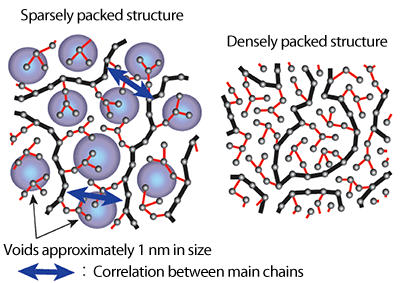 Fig.3 Schematics of polymer P4MP1 melt structures
