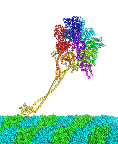 Fig.1