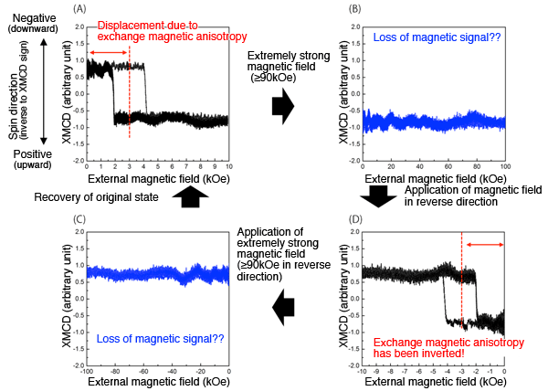 Fig.2. Schematic representation of directional change in exchange magnetic anisotropy under the effect of strong magnetic field