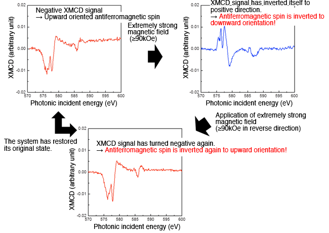 Fig.3. Strong magnetic field can invert the orientation of antiferromagnetic spin (schematic representation)