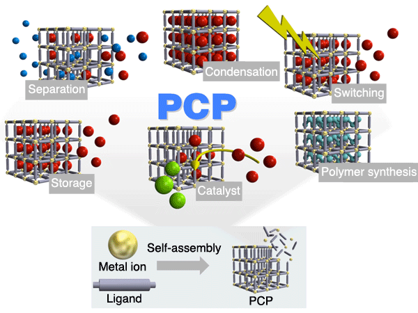 Fig. 1. Architecture of porous coordination polymers (PCPs) and their diverse functions