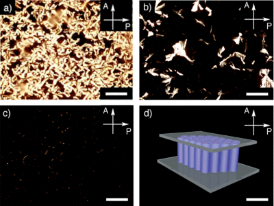 Fig. 4. Changes in the polarizing microscope with the addition of CNTs into the ionic liquid crystal