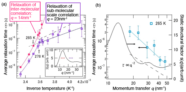 Fig.1.