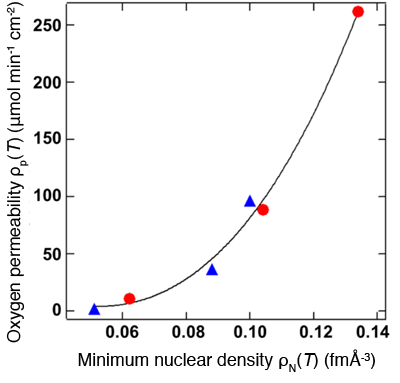 Fig. 5 Oxygen permeability ρP(T) increases with the increase in minimum nuclear density ρN(T).