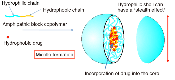 Fig. 1: Overview of a polymer micelle