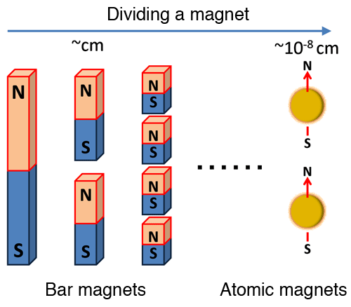 Fig. 1