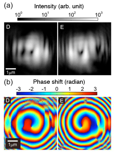 Fig. 4	(a) Intensity and (b) phase distribution of an X-ray vortex beam obtained by wave optics simulation.  (Phase singularities D and E in Fig. 3 were irradiated with X-rays and the wave field of the diffraction wave transmitted 10 mm from the sample was calculated.)