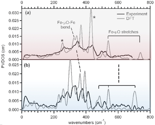 Fig.2 NRVS data of the low spin models and DFT-assisted assignment.