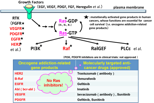 Fig. 1 Current status of the development of molecular targeted anti-cancer drugs: