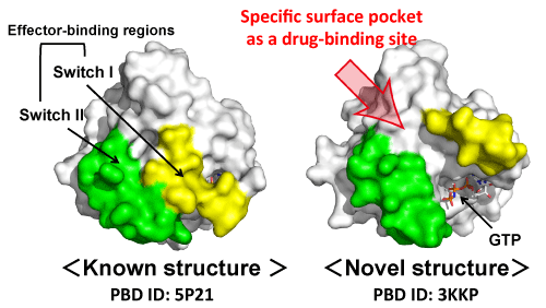 Fig. 2	Comparison between the newly solved and already-known structures of Ras used in this research