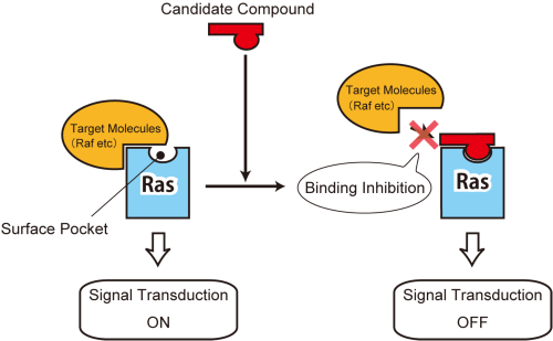 Fig. 3 Inhibitory mechanism of the selected compounds on Ras-mediated cancer signaling