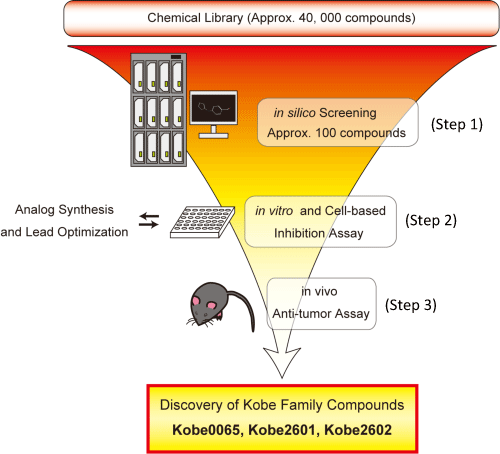 Fig. 4 Screening method for low molecular weight compounds which inhibit Ras function (1)