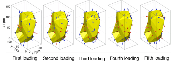 Fig. 4	Example of grain boundary tracking
