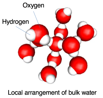 Fig. 1 	Local arrangement of water molecules