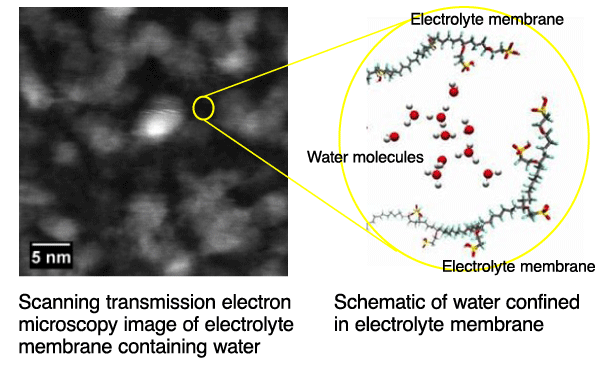 Fig. 2		Scanning transmission electron microscopy image of electrolyte membrane containing water (left) and schematic of water molecules confined in a domain of approximately two nanometers by molecules in the electrolyte membrane (right)