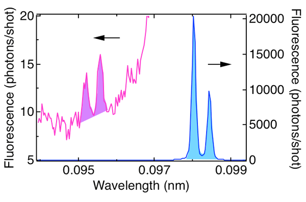 Fig. 2 X-ray fluorescence spectrum of krypton