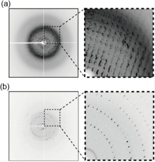 Fig. 3	X-ray diffraction images of (a) crystals frozen by a conventional method using cryoprotectants and (b) those frozen by the HAG method