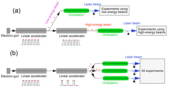 Fig. 1  Design of XFEL multibeamline facility