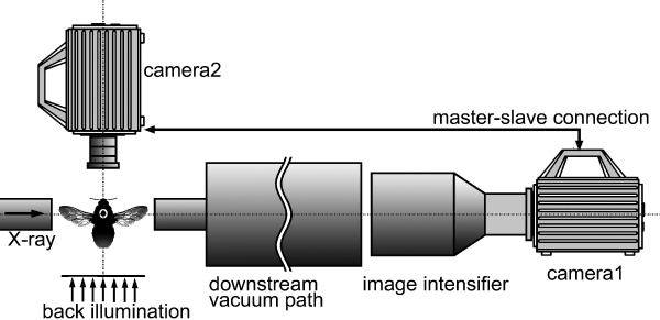 Fig. 2. Experimental setup.