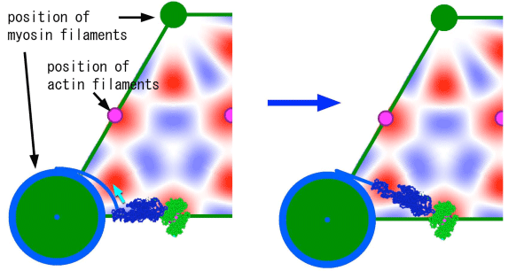 Fig. 5. Model that explains the observed intensity change of reflection (the 111 spot in Fig. 4).