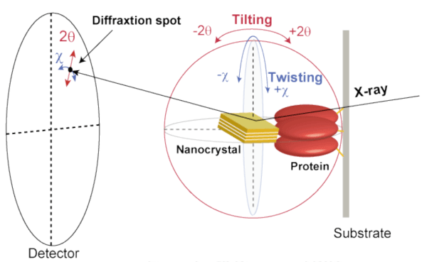 Diagram of DXT