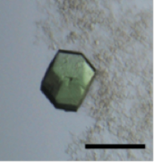 Fig. 2		Crystal of Hfq-catalase complex