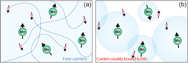 Fig. 2 Models for mechanism of ferromagnetism in Ga1-xMnxA