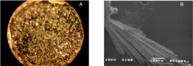 Fig. 1		Photograph of single crystals used. A and B