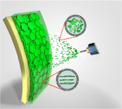 chematic representation of large-scale self-assembled