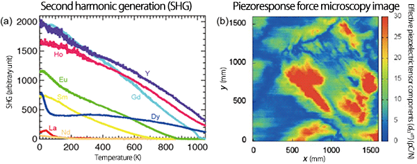 Fig 2: (a) Temperature dependence of optical second harmonic generation (SHG) in layered perovskite oxide NaRTiO4 (R denotes rare-earth element) polycrystals.  (b) Piezoresponse force microscopy* image of NaHoTiO4 polycrystals at room temperature.