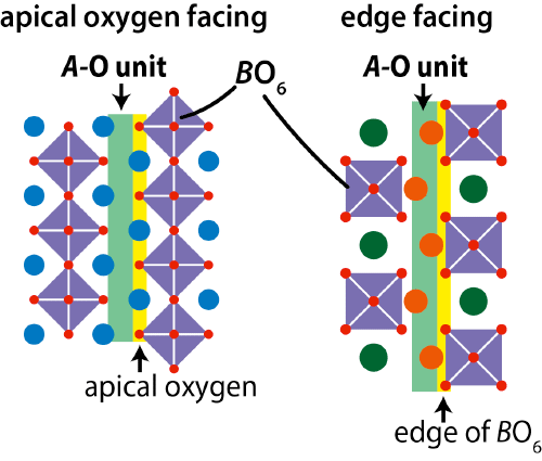 Figure 6: Feature that the apical oxygen faces the A-O unit in conventional perovskite-related structure (left, example: K2NiF4-type oxides).