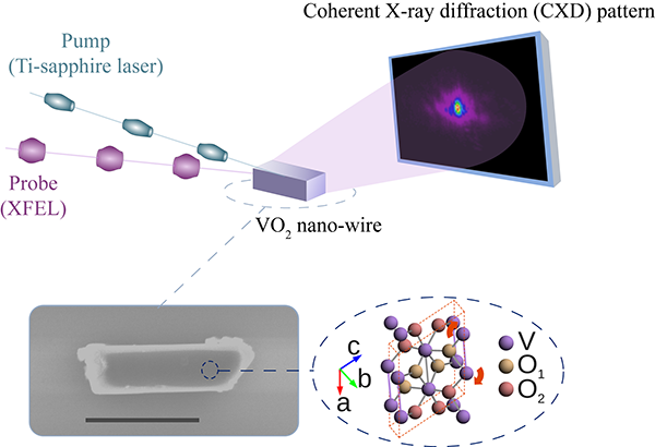 Fig. 1　Schematic of experimental method combining pump-probe method and coherent X-ray diffraction