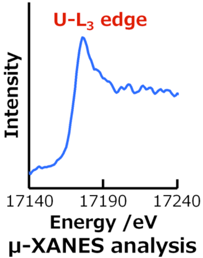 図２．micro-XANES analysis