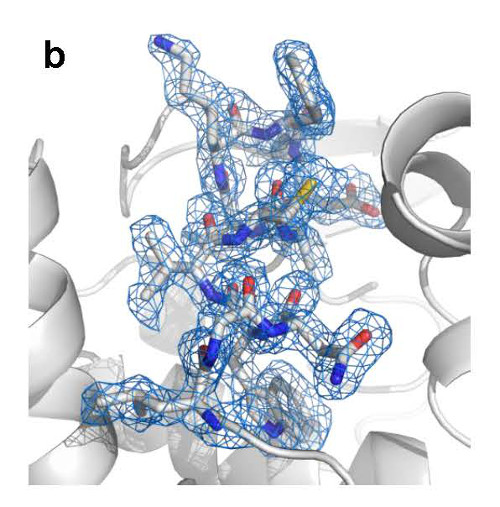 fig1