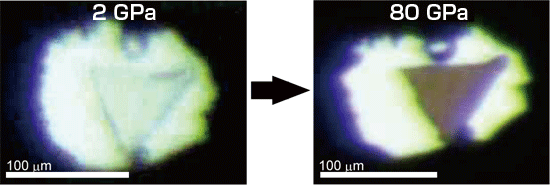 Fig.4 Photomicrographic images of the sample
