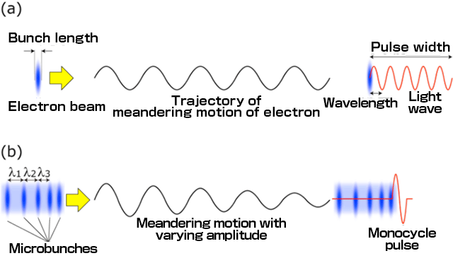 Optical emissions from an electron beam with a bunch length shorter than the wavelength and an electron beam with regularly aligned microbunches